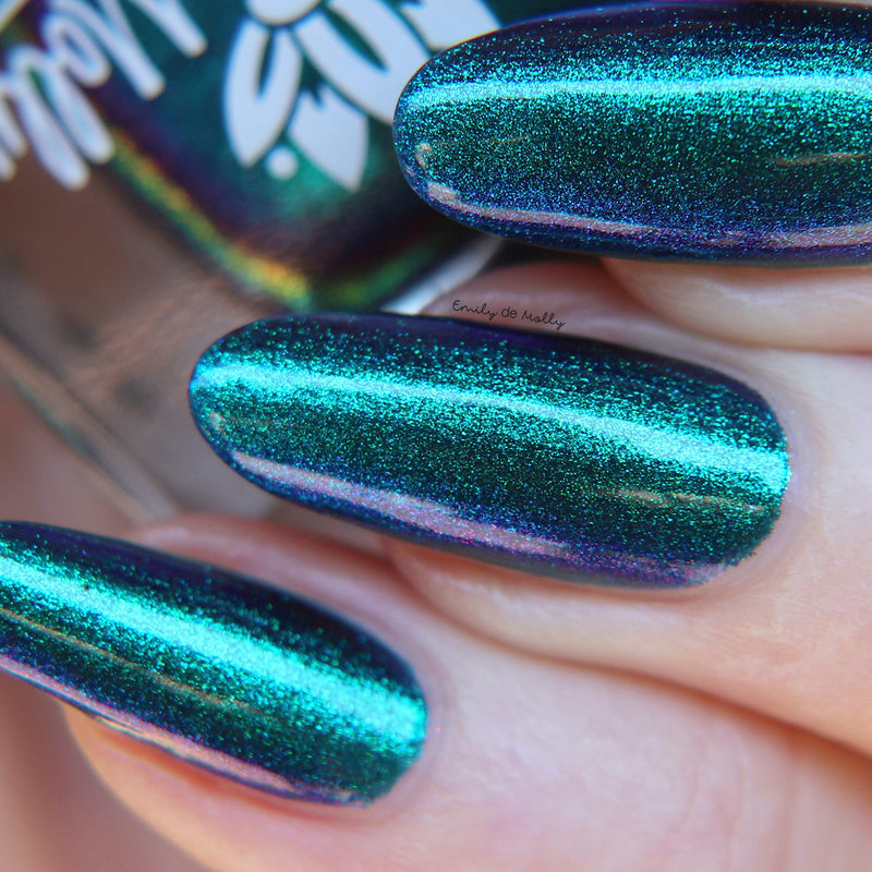 Somebody’s Fool image 20