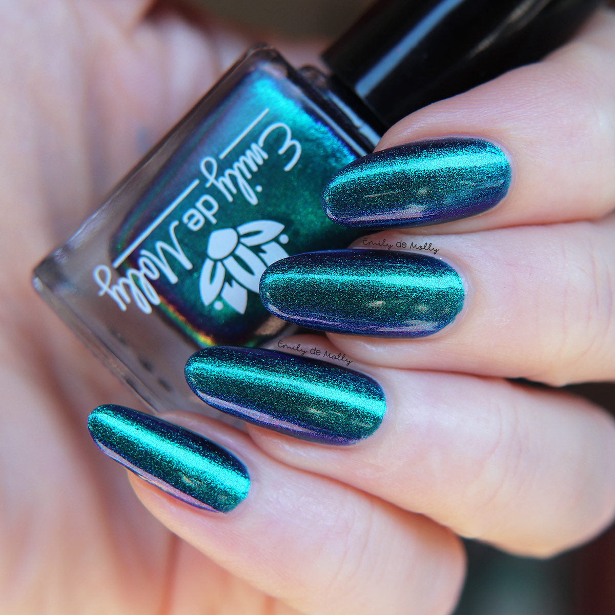 Somebody’s Fool image 22