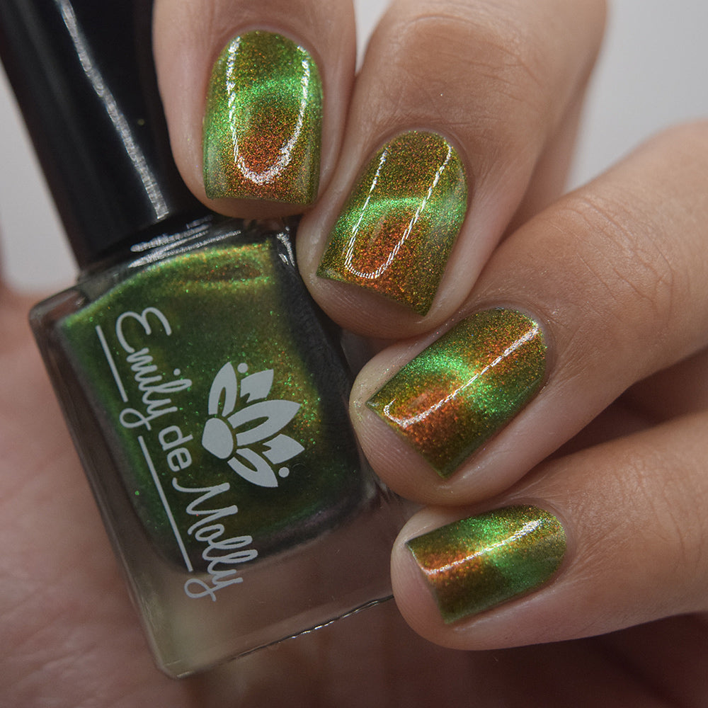 Forest Floor image 27