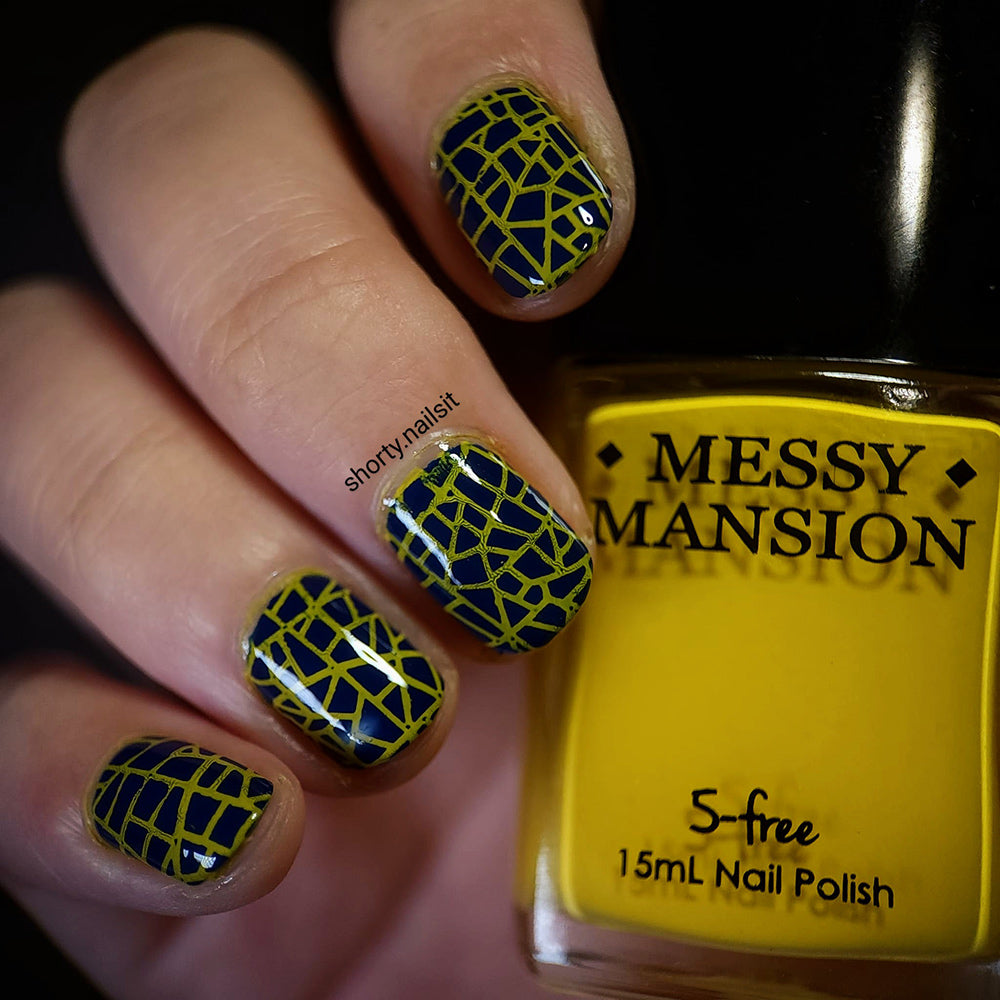 SY05 Messy Mansion Nail Stamping Plate image 1
