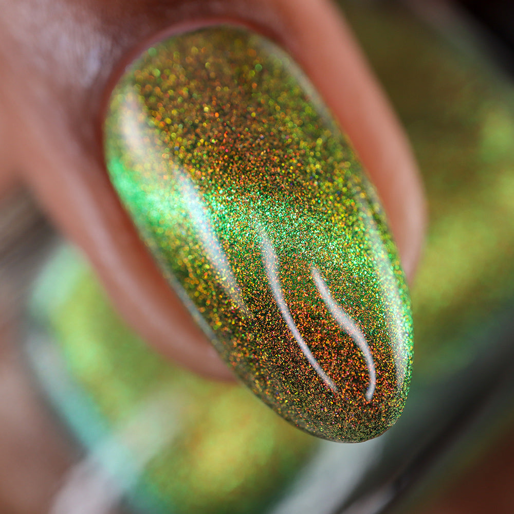 Forest Floor image 0