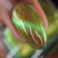 Forest Floor image 0