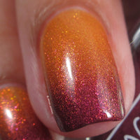 Floyd's Choice - HHC Exclusive - PREORDER