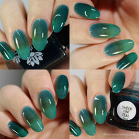 Sheer Tint Teal