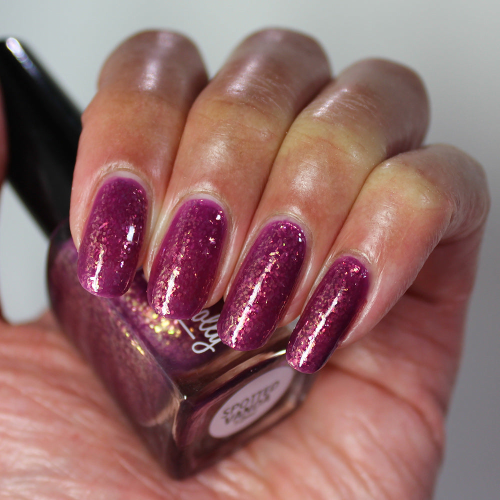 Spotted Vanda - HHC Exclusive - PREORDER