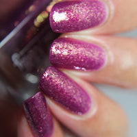Spotted Vanda - HHC Exclusive - PREORDER