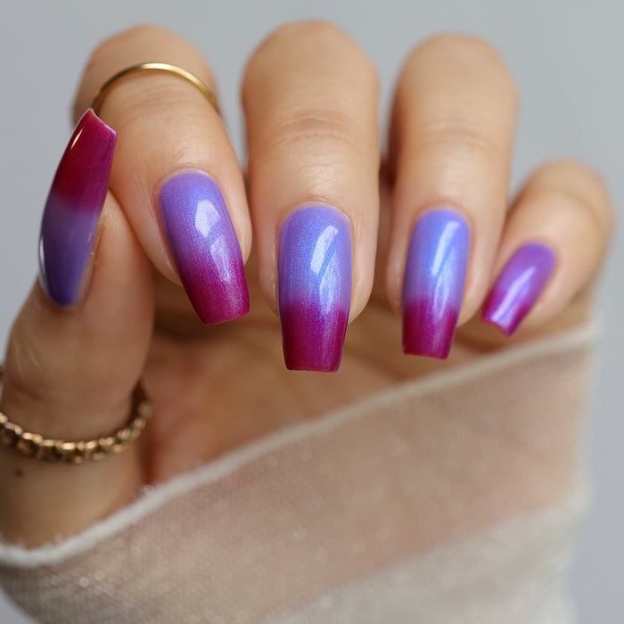 All The Love In The World