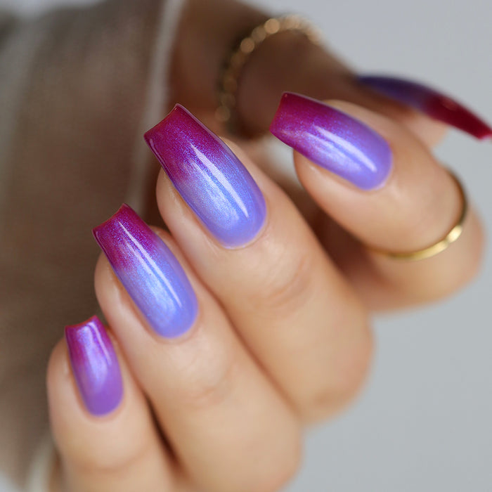 All The Love In The World