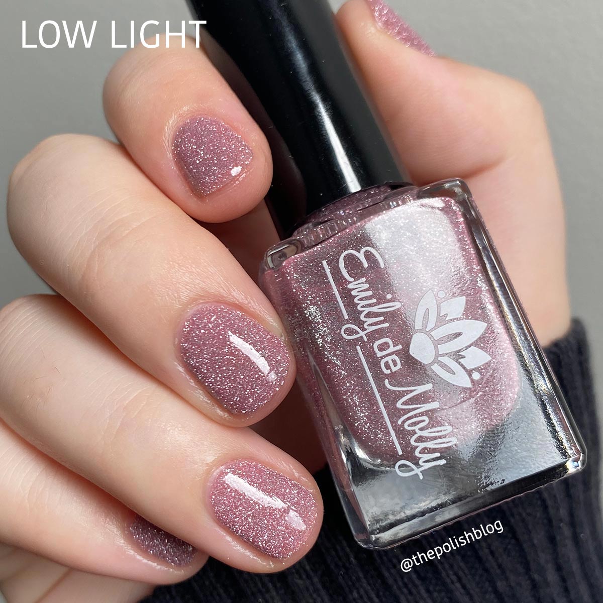 Quiet And Daring image 6