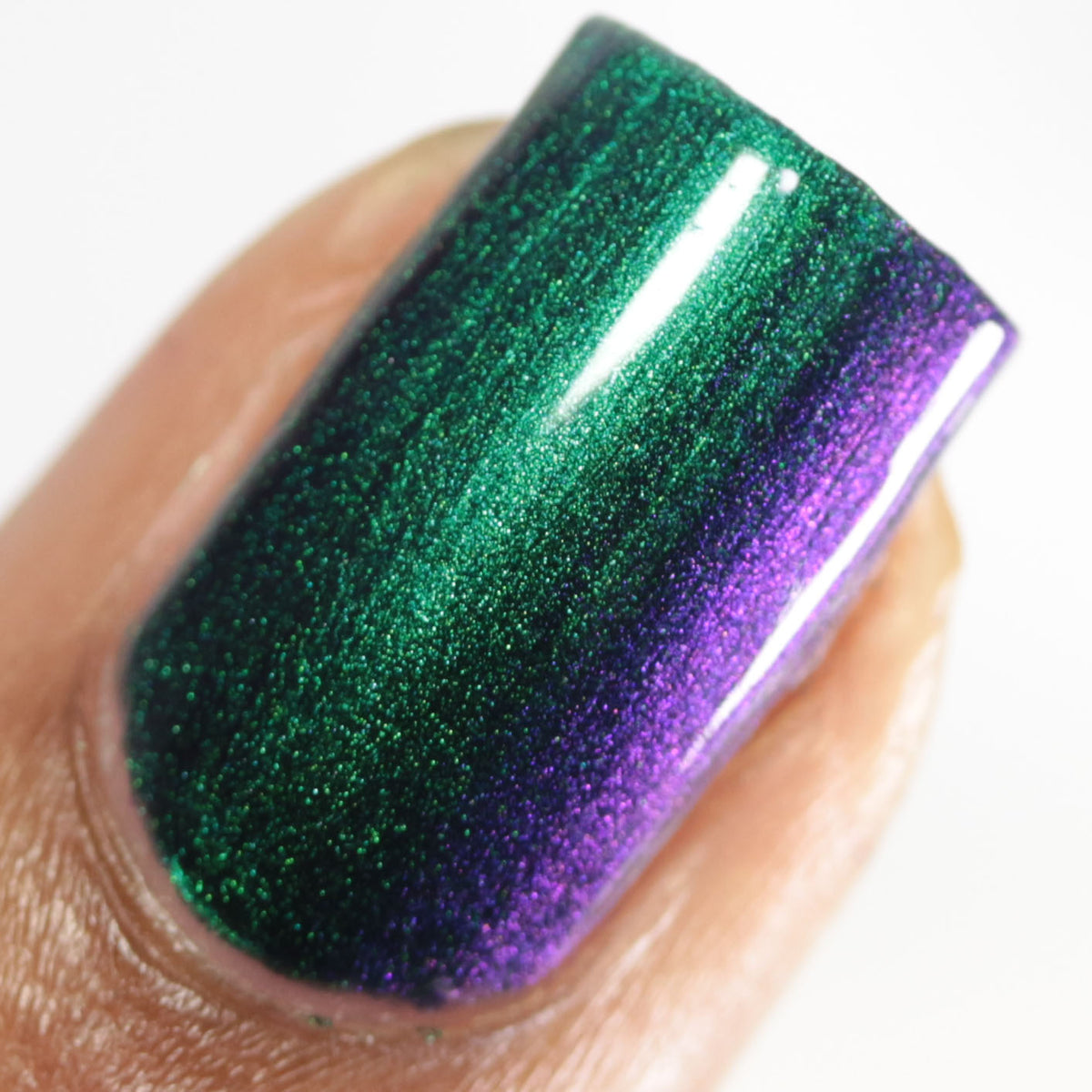 Shallow Depths image 7