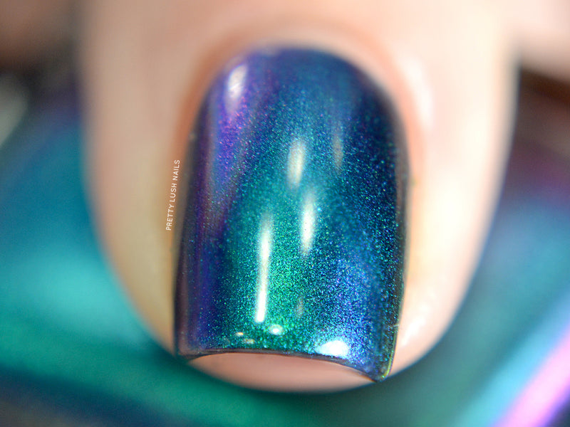 Shallow Depths image 10