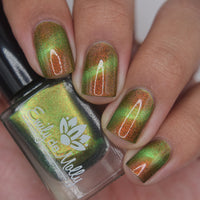 Forest Floor image 26