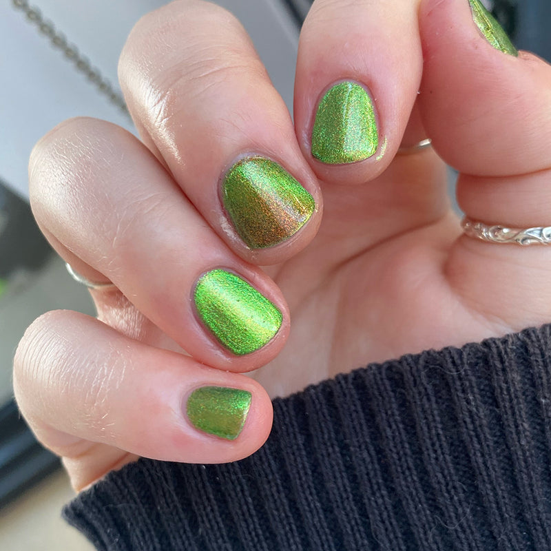 Forest Floor image 37