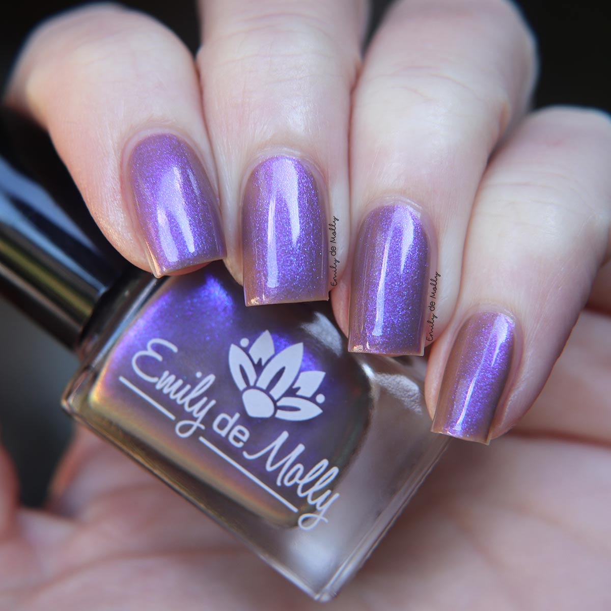 Written Invitation image 16