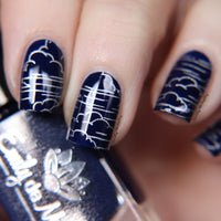 EDM41 Nail Stamping Plate image 2