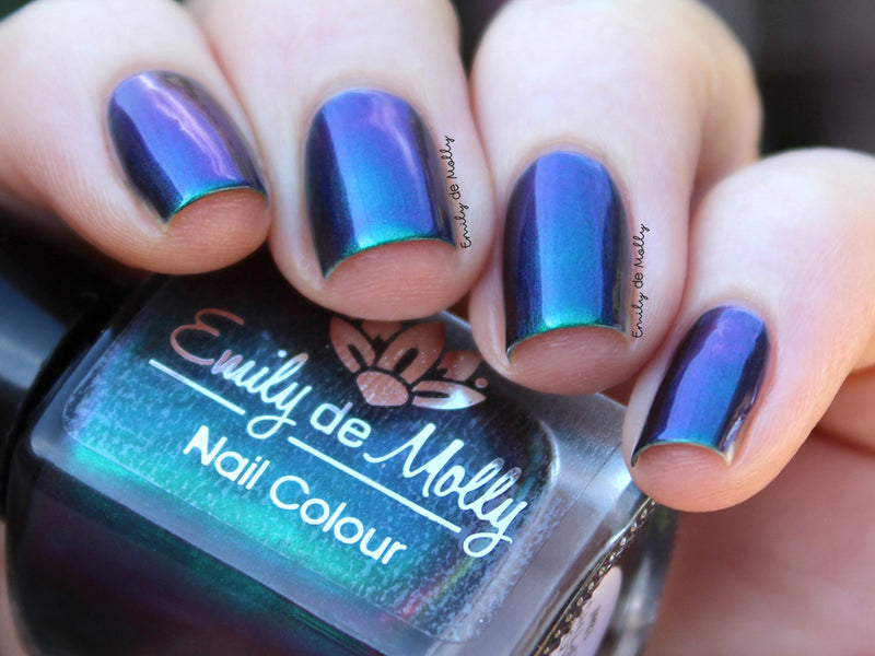 Shallow Depths image 15