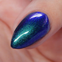 Somebody’s Fool image 9