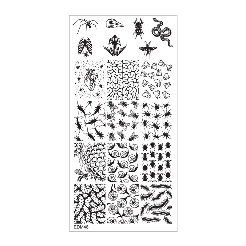 EDM46 Nail Stamping Plate image 0