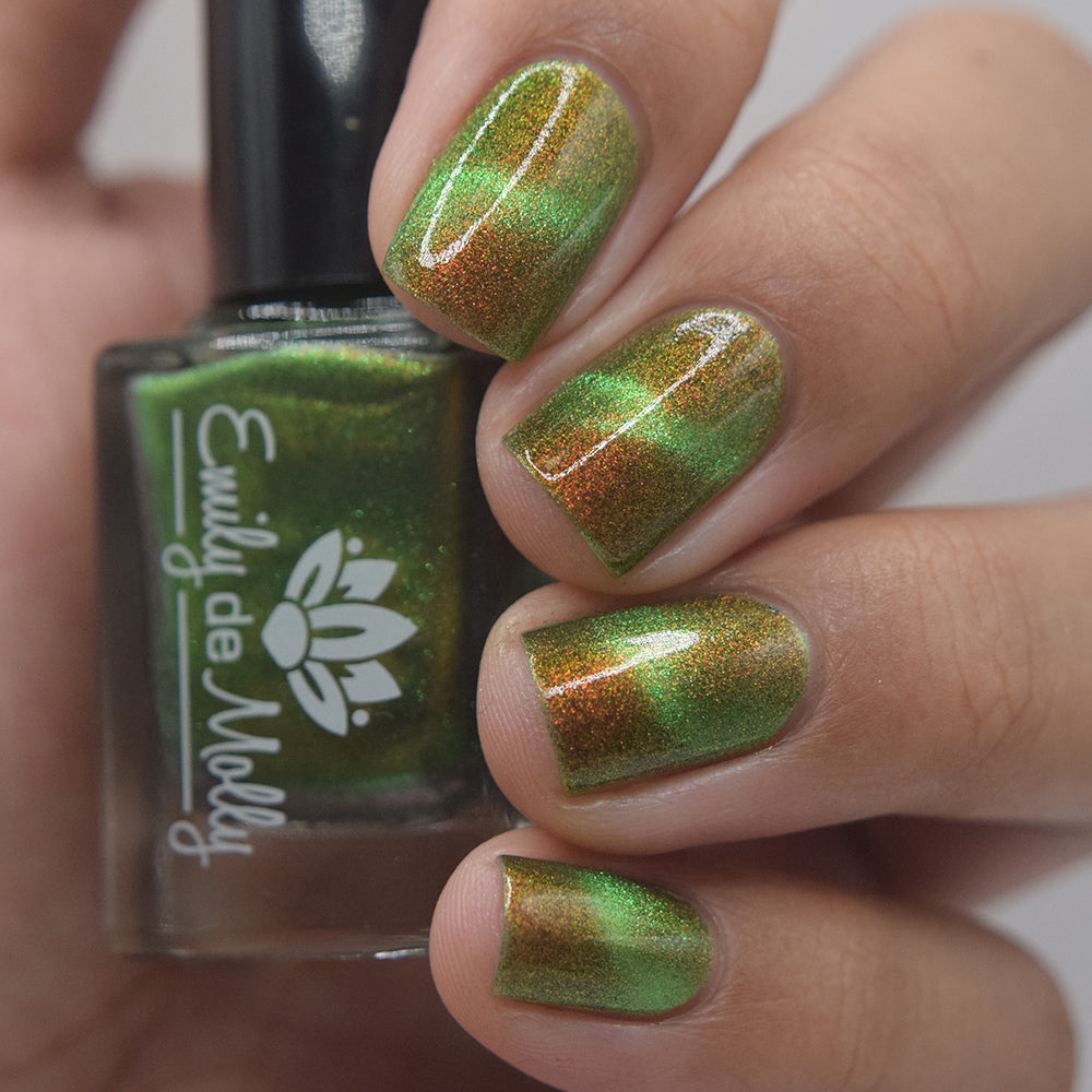 Forest Floor image 28