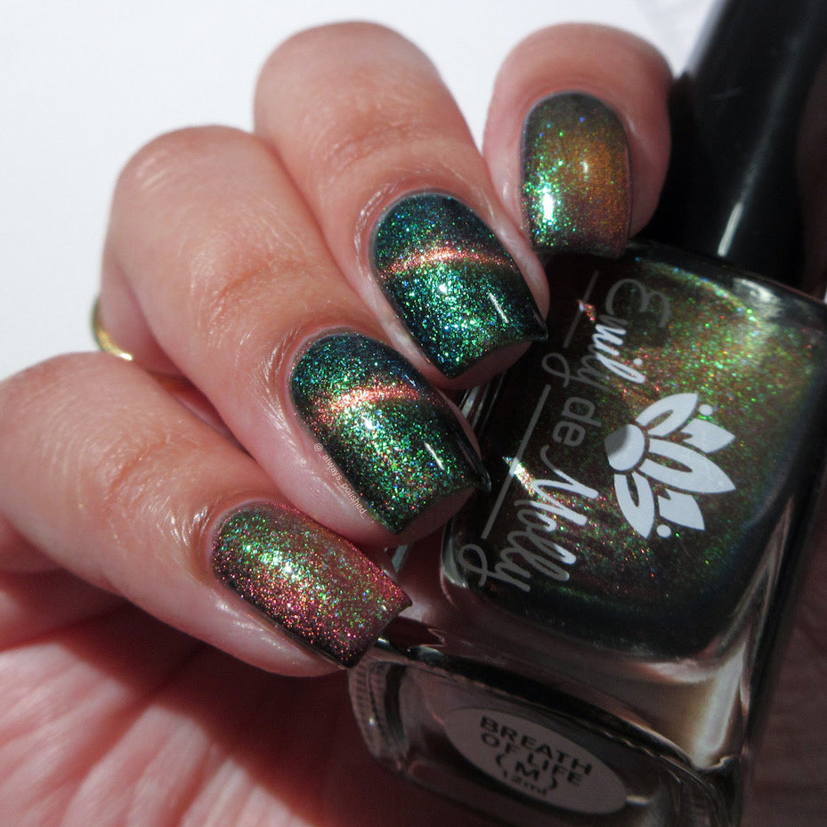 Breath Of Life image 23