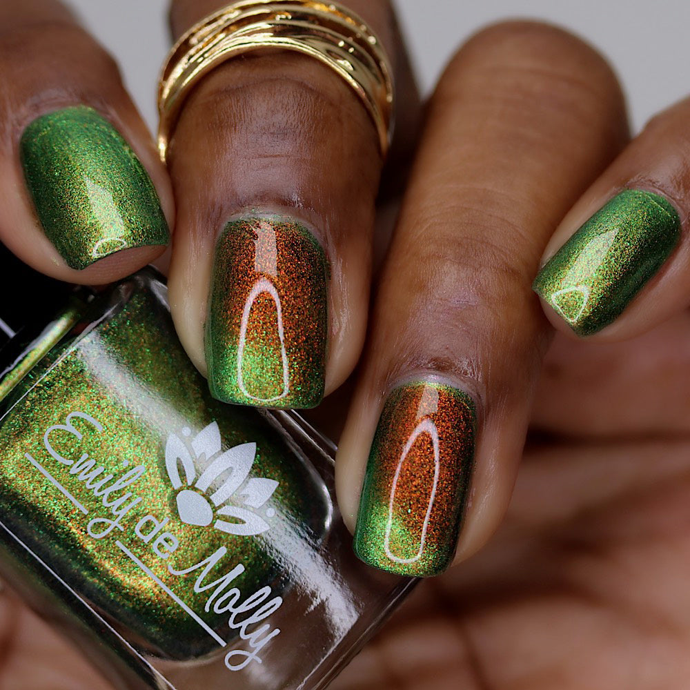 Forest Floor image 14