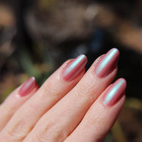 From What You Know image 13