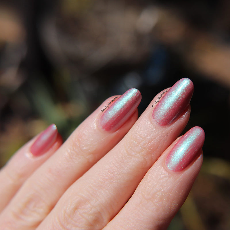 From What You Know image 13