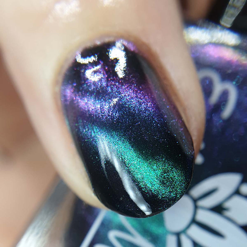 Beyond Your World image 12