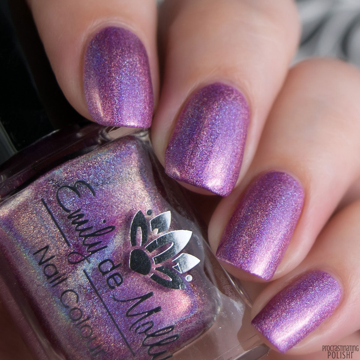 A Veiled Promise image 12