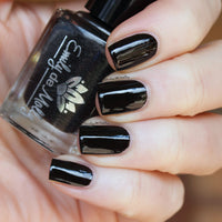 Fade Into Black image 5