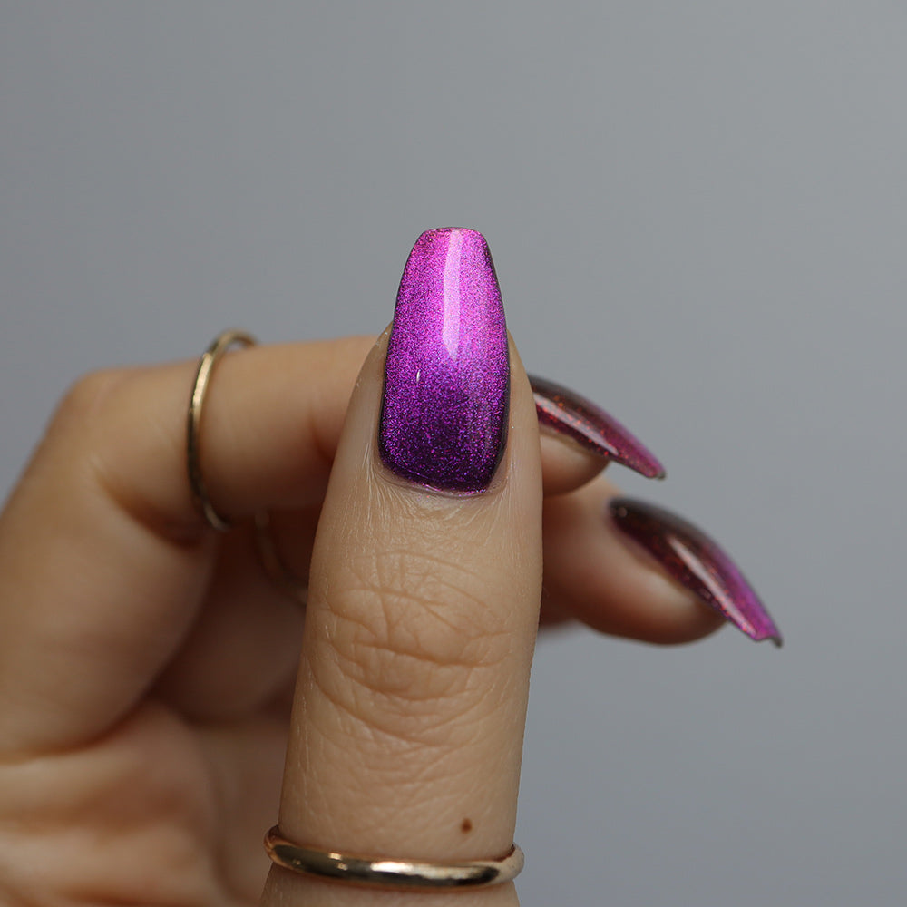 Royal Flame image 17