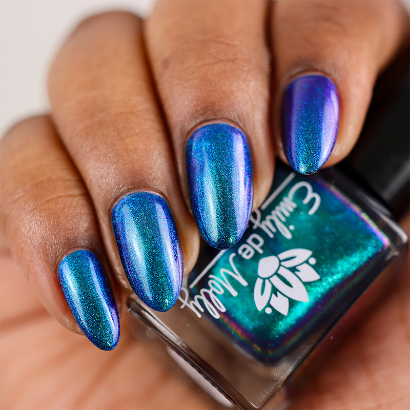 Somebody’s Fool image 16