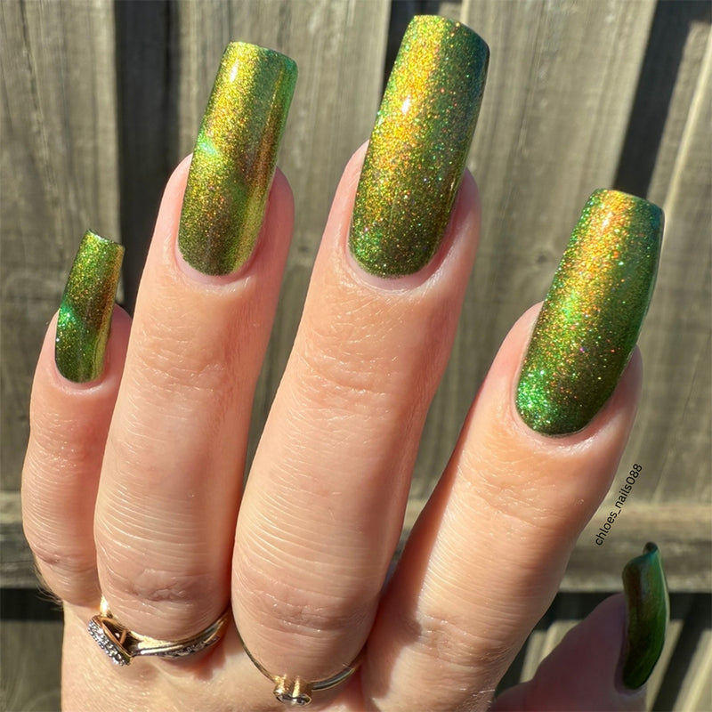 Forest Floor image 40