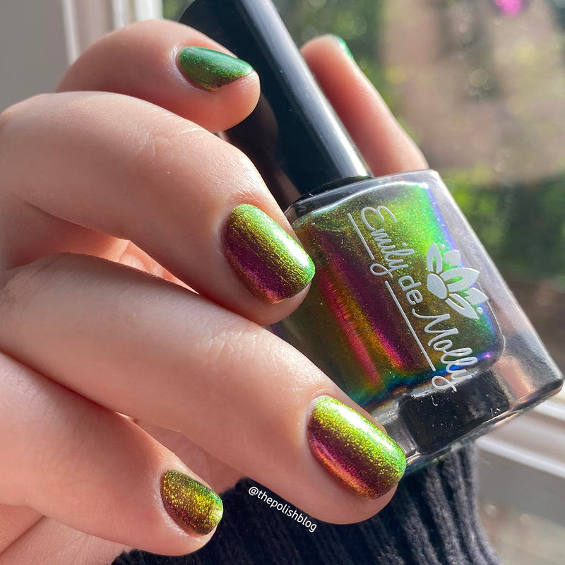 Current Events image 19