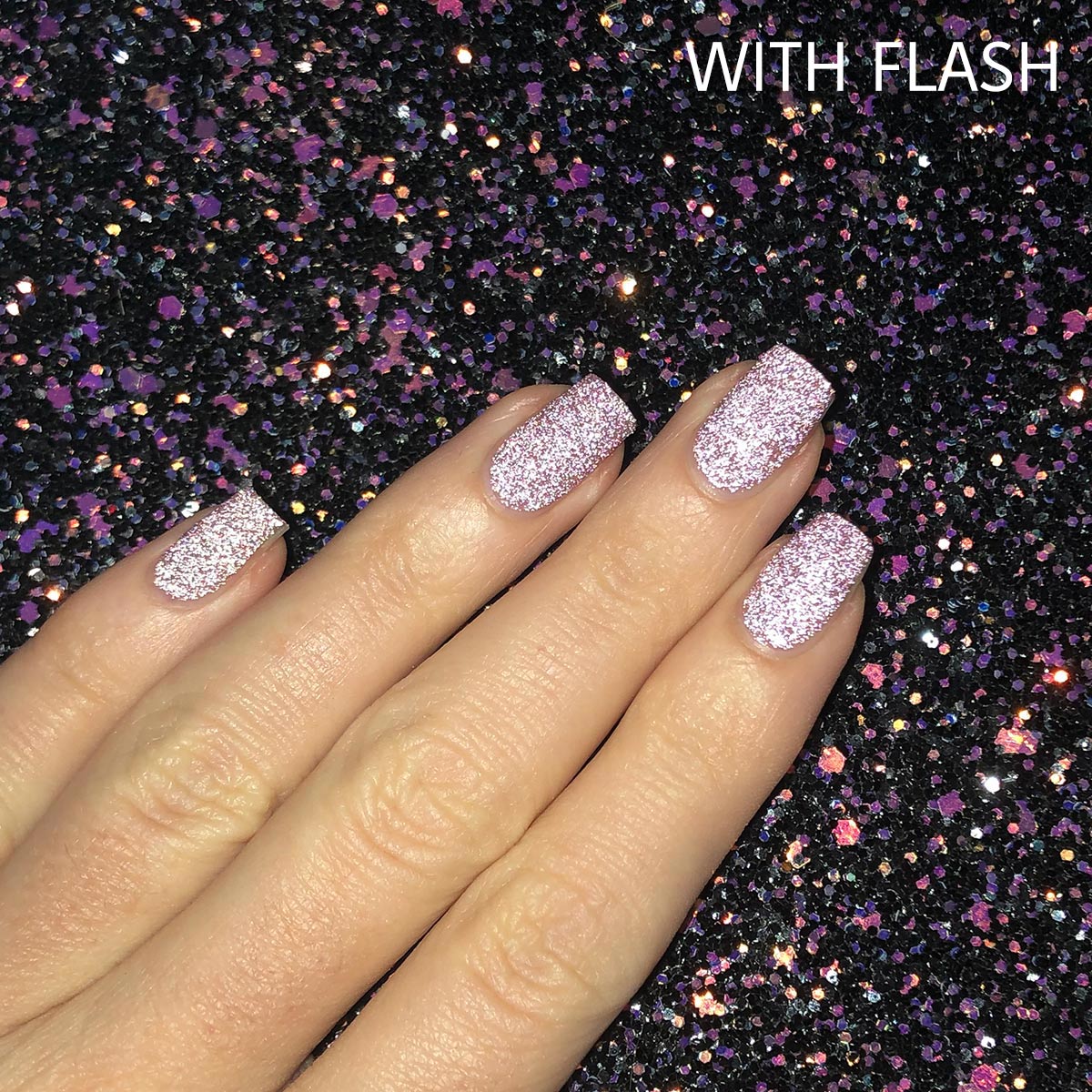 Quiet And Daring image 13