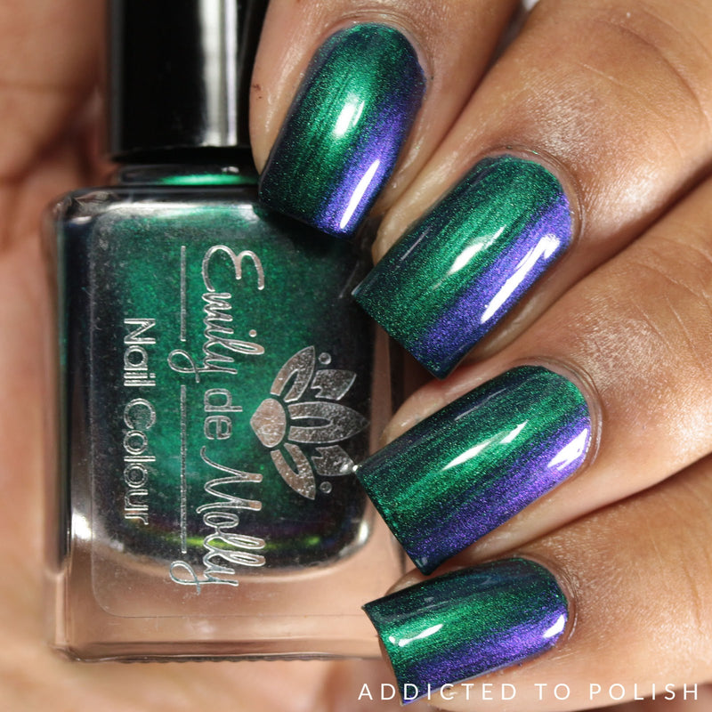 Shallow Depths image 6