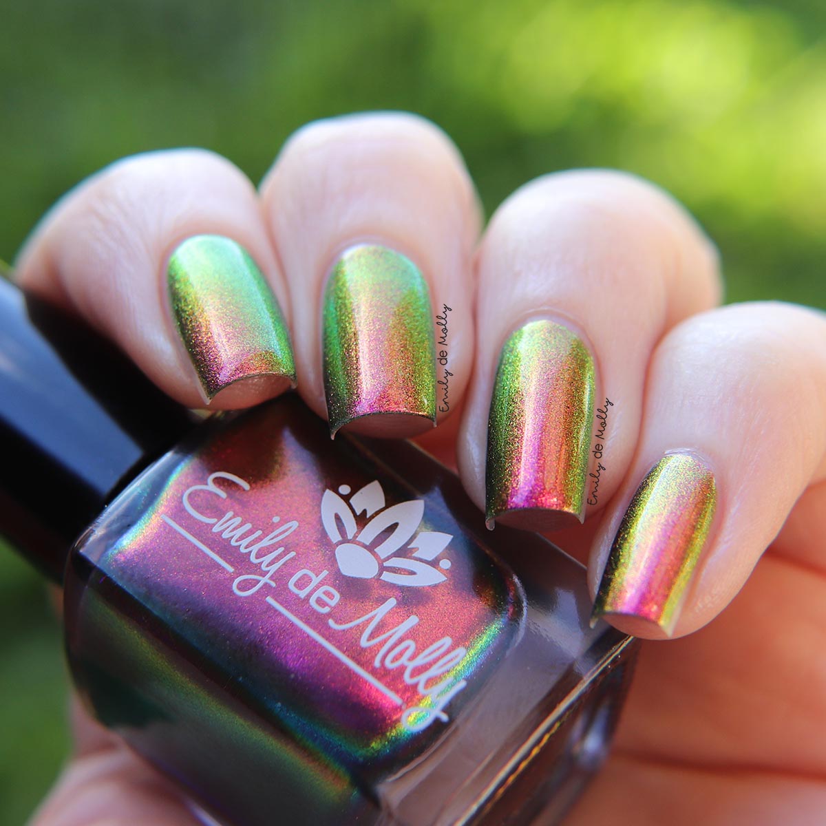 Current Events image 4