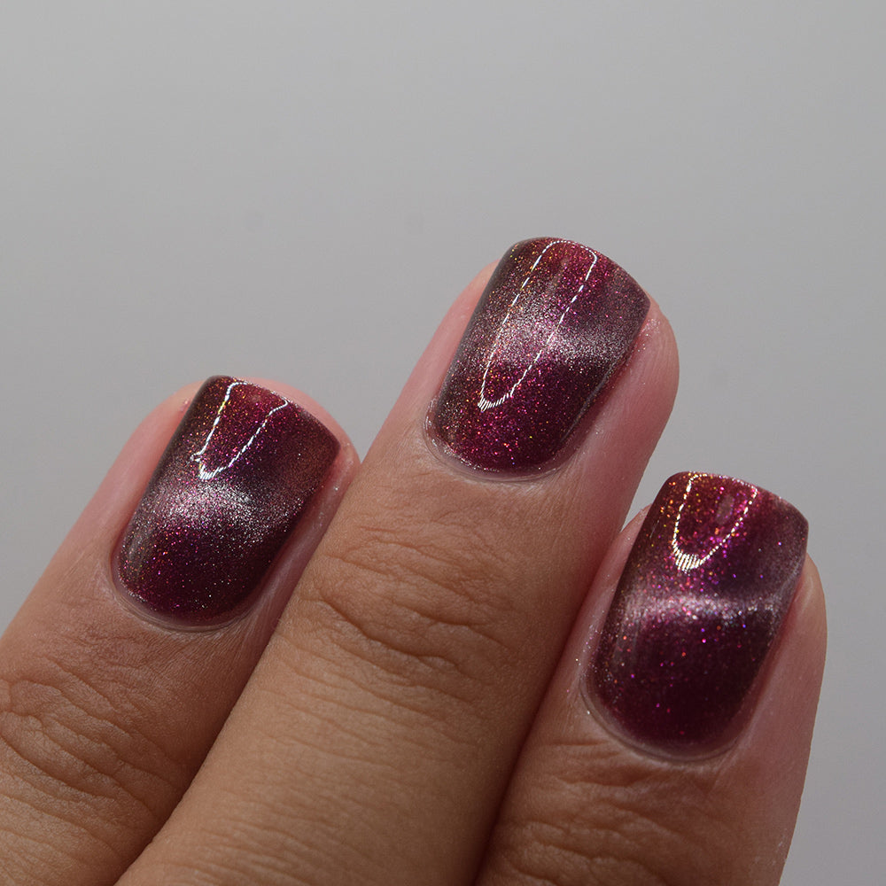 Dreaming Backwards image 25