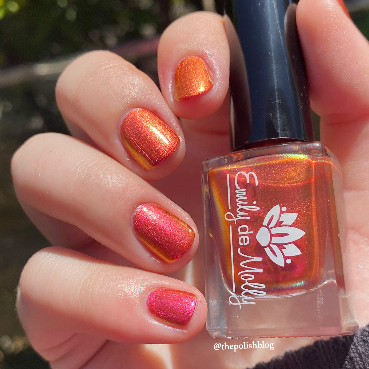 When The Sun Leaves image 22