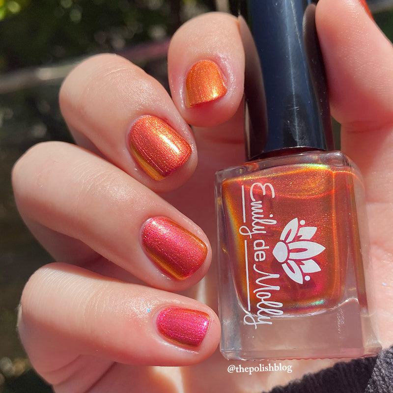 When The Sun Leaves image 22