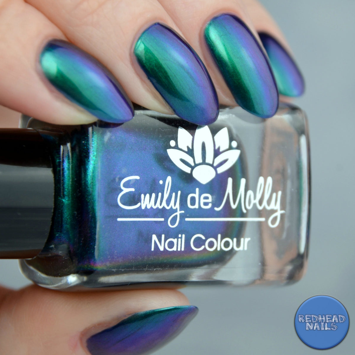 Shallow Depths image 3