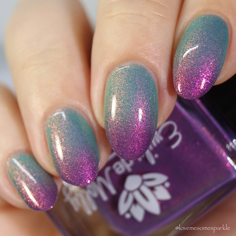 Over And Over image 1