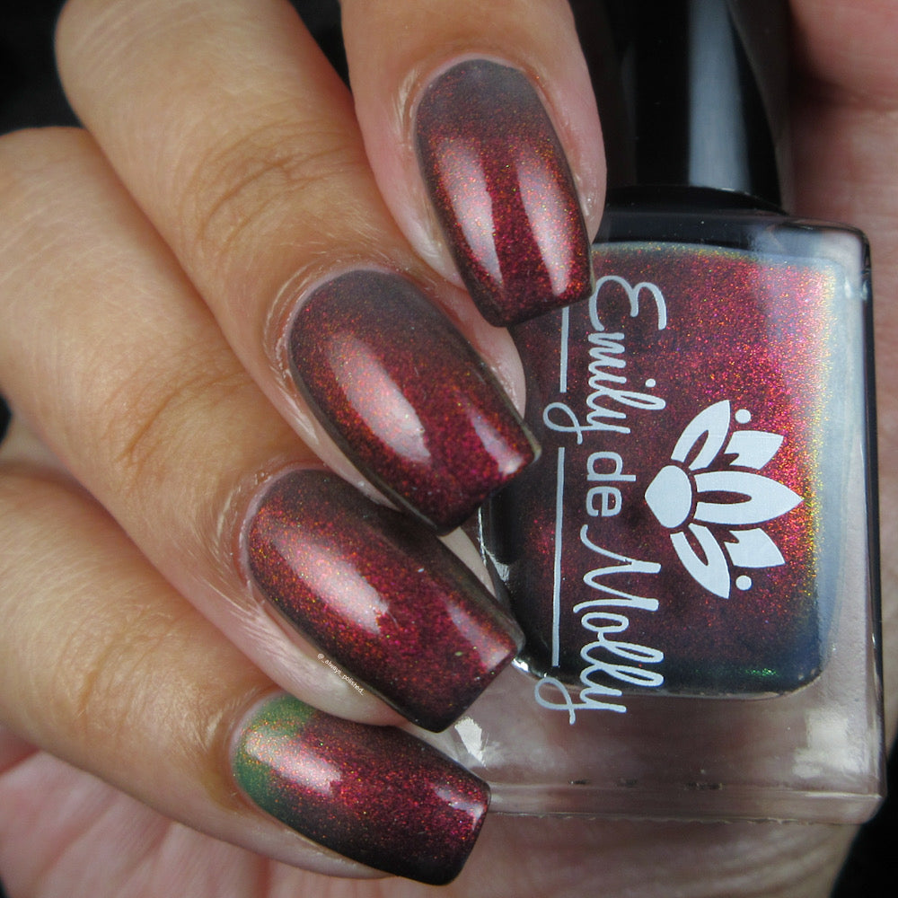 Never Found It image 6