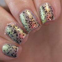 Black The Night image 7