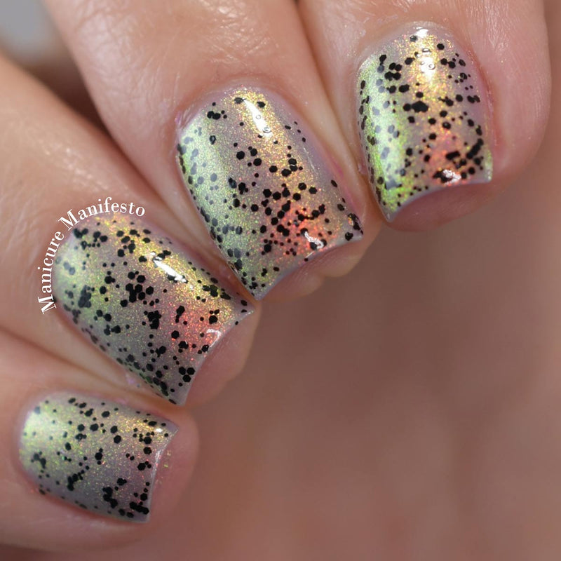 Black The Night image 7