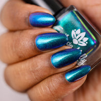 Somebody’s Fool image 19