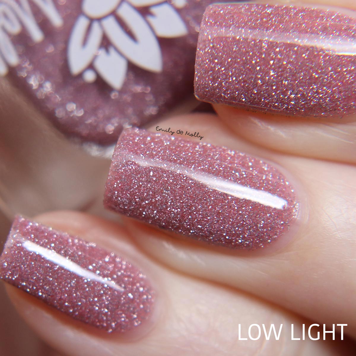 Quiet And Daring image 8