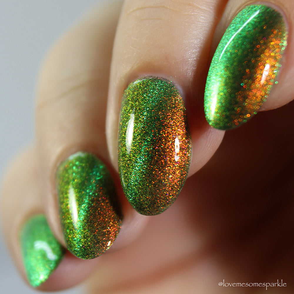 Forest Floor image 6