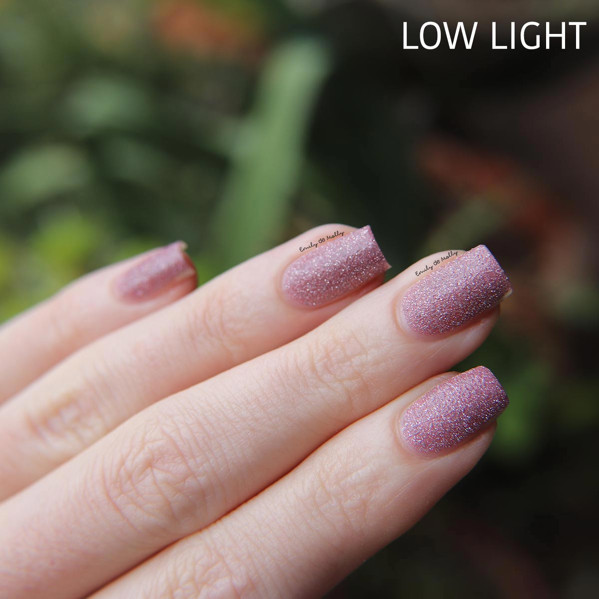 Quiet And Daring image 11