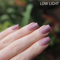 Quiet And Daring image 11